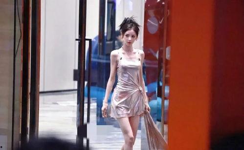 陈丽君吃瓜爆料,娱乐圈幕后真相大揭秘