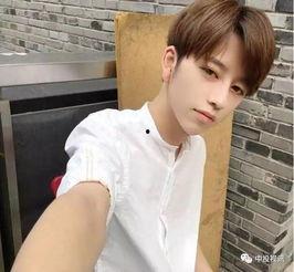 娱乐圈吃瓜小哥小说